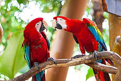 欧服eshop将于本周四开启特卖活动 超1000款游戏参与打折